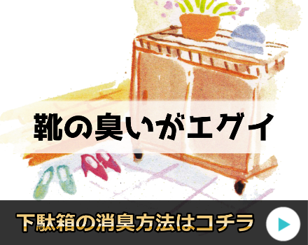 下駄箱・靴箱が臭い!玄関に漂う悪臭を消す消臭剤のおすすめはこれ!
